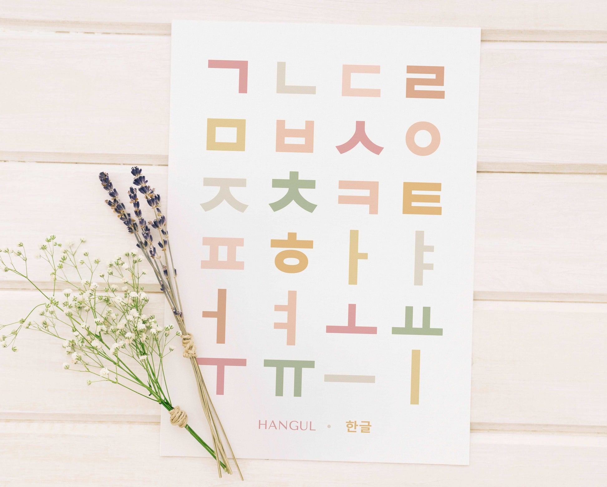 Boho Hangul Alphabet Print, Korean Language Learning Wall Art Typelab
