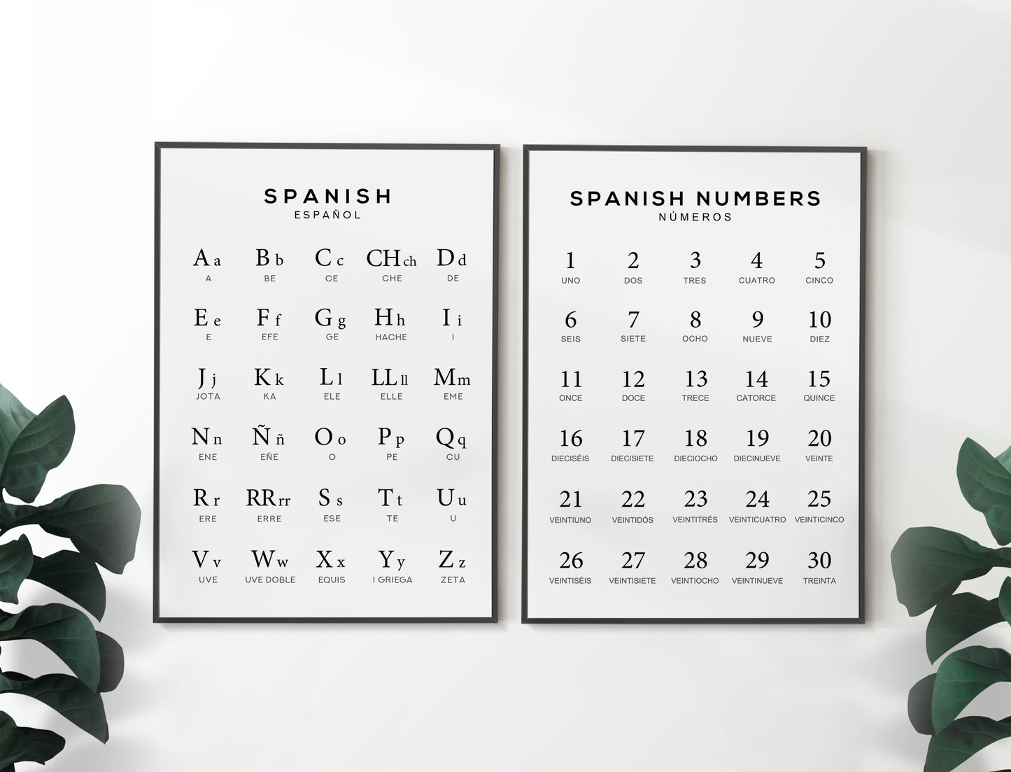 Spanish Alphabet and Number Print Set of 2 | Language Learning Wall Art