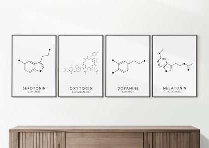 Set of 4 Molecular Structure Prints, Serotonin Oxytocin Dopamine and Melatonin Typelab