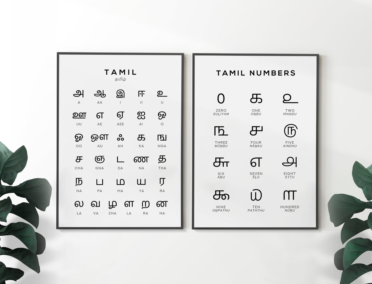 Tamil Alphabet and Number Print Set x2 - Language Learning Wall Art by Typelab