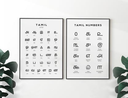 Tamil Alphabet and Number Print Set x2 - Language Learning Wall Art by Typelab