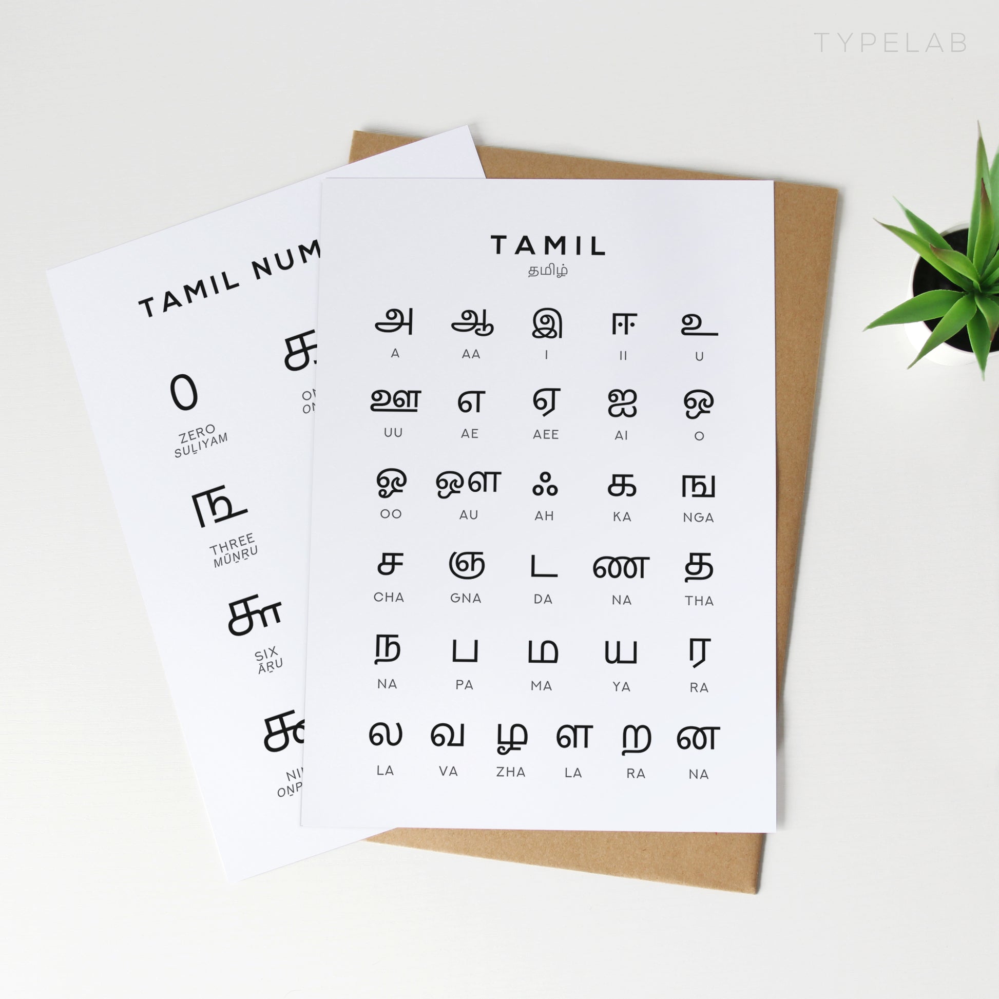 Tamil Alphabet and Number Print Set x2 - Language Learning Wall Art by Typelab