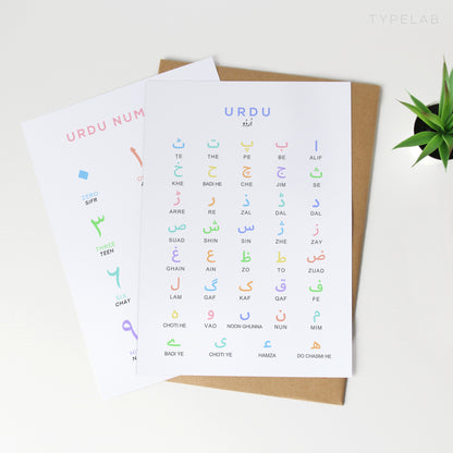 Urdu Alphabet Print | Multi Colour Language Learning Poster